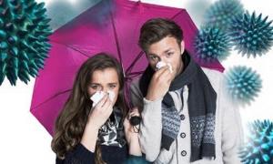 6 cách để giảm cảm cúm và ho mùa đông không cần dùng thuốc