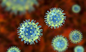 Loại virus có thể cứu sống hàng triệu người